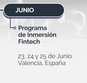 Programa de Inmersión Fintech 2025